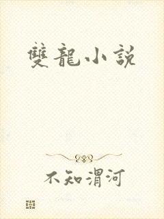 双龙小说