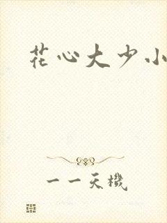 花心大少小说封面