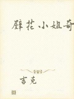 壁花小姐奇遇记