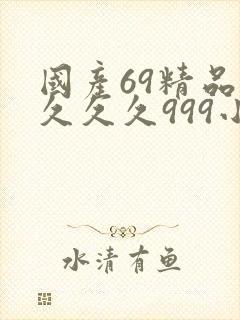 国产69精品久久久久999小说