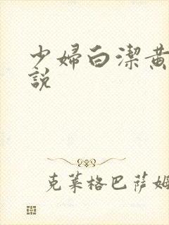 少妇白洁黄色小说