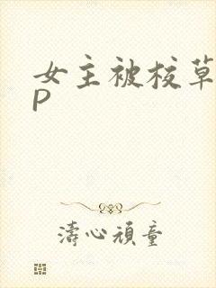 女主被校草们NP