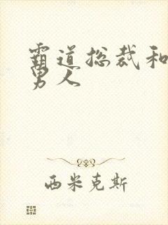 霸道总裁和他的男人