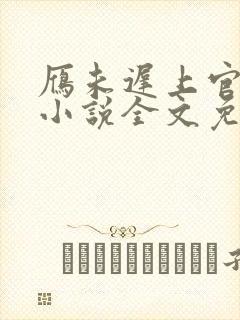 雁未迟上官穿越小说全文免费阅读