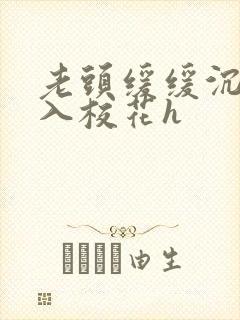 老头缓缓沉腰进入校花h