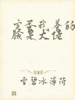 完蛋我养的小白脸是大佬