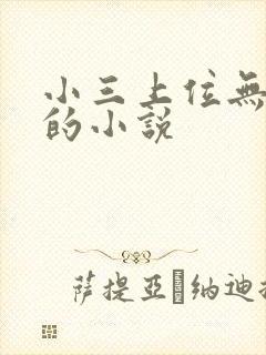 小三上位无三观的小说