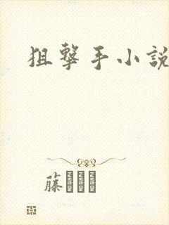 狙击手小说封面