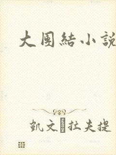 大团结小说下载