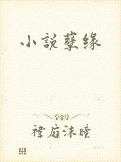 小说孽缘