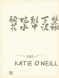 骑蛇难下双金银花水中泥鳅封面