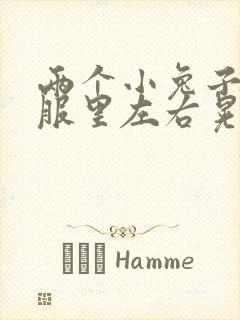 两个小兔子在衣服里左右晃