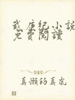 武庚纪小说全文免费阅读封面