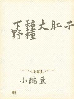下种大肚子怀孕野种封面