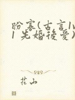 盼寡(古言1v1 先婚后爱)