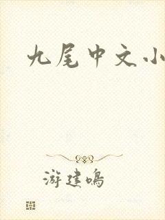 九尾中文小说网