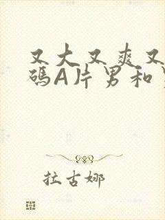 又大又爽又黄无码A片男和男