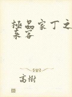 极品家丁之远方来客封面