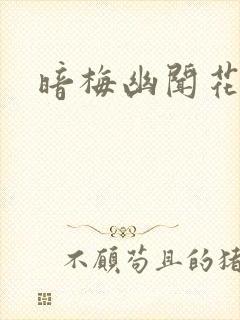 暗梅幽闻花封面