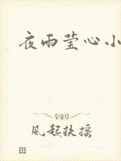 夜雨莹心小说封面