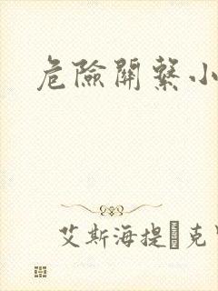 危险关系小说封面