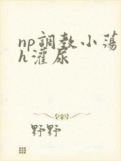 np调教小荡货h灌尿