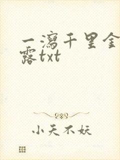 一泻千里金银花露txt封面