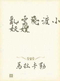 乱云飞渡小说之姣嫂