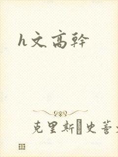 h文高干封面