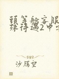 头等舱客服的特殊待遇2中字