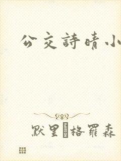 公交诗晴小说