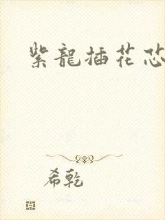 紫龙插花芯方正