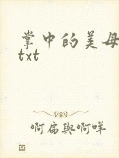 掌中的美母版主txt