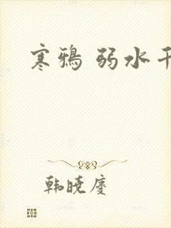 寒鸦 弱水千流