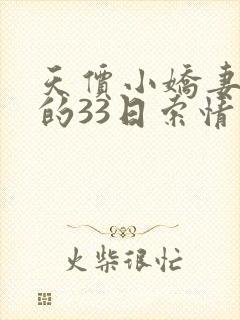 天价小娇妻总裁的33日索情封面