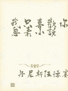 我只喜欢你的信息素小说封面