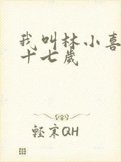 我叫林小喜今年十七岁