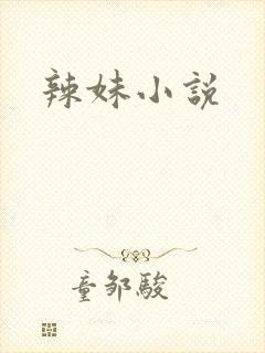 辣妹小说