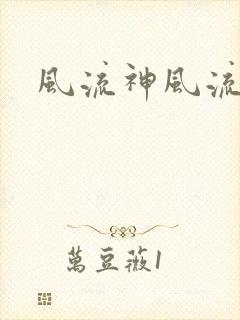 风流神风流记