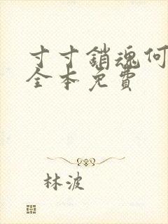 寸寸销魂何生祥全本免费