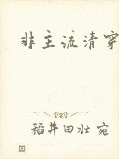 非主流清穿