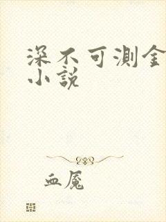 深不可测金银花小说