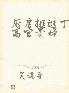 厨房挺进丁字裤高官贵妇