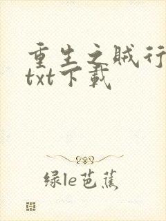 重生之贼行天下txt下载