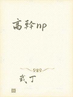 高干np