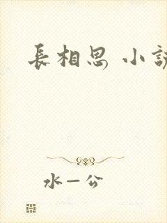 长相思 小说