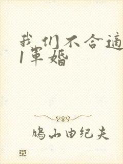 我们不合适1v1军婚