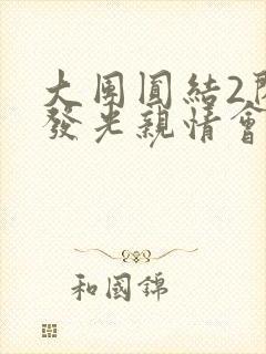 大团圆结2闪闪发光亲情会