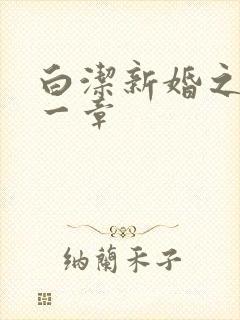 白洁新婚之夜第一章