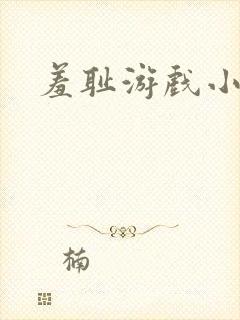 羞耻游戏小说封面